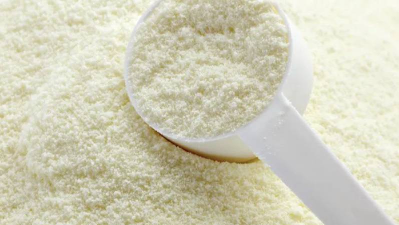 Süt Tozu